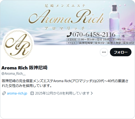 公式X